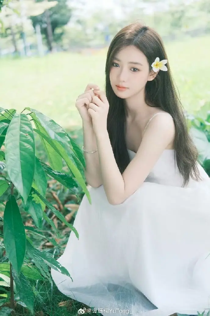 点点红包下载用户增长曲线